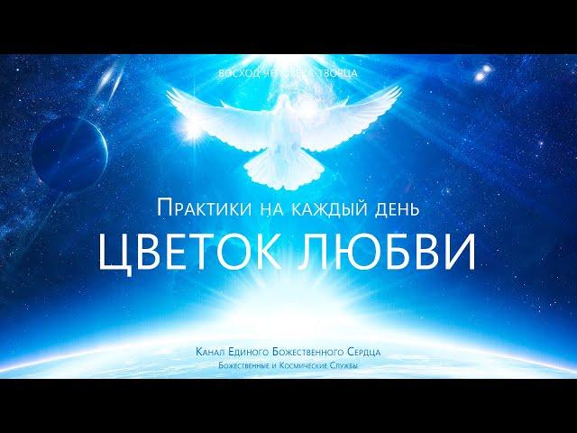 Практики на каждый день - Цветок Любви (Цветок Лотоса)