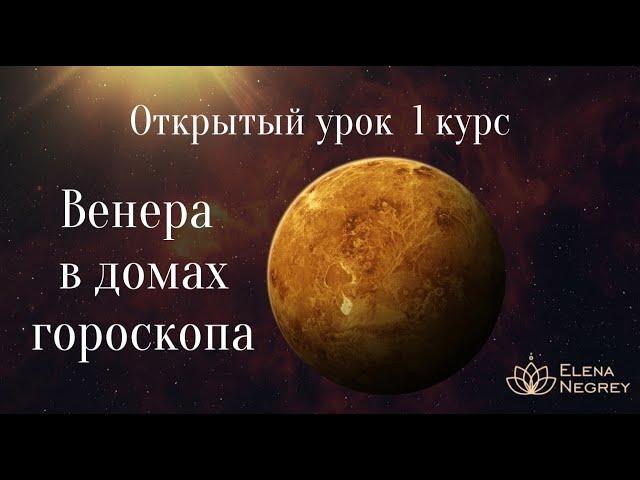 ОТКРЫТЫЙ УРОК  1 КУРС.  ВЕНЕРА В ДОМАХ ГОРОСКОПА. ФИНАНСЫ И БРАК. ШКОЛА АСТРОЛОГИИ ЕЛЕНЫ НЕГРЕЙ