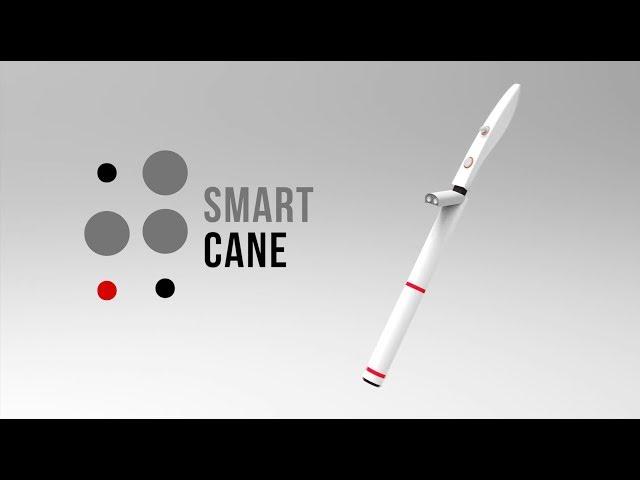 Smart Cane