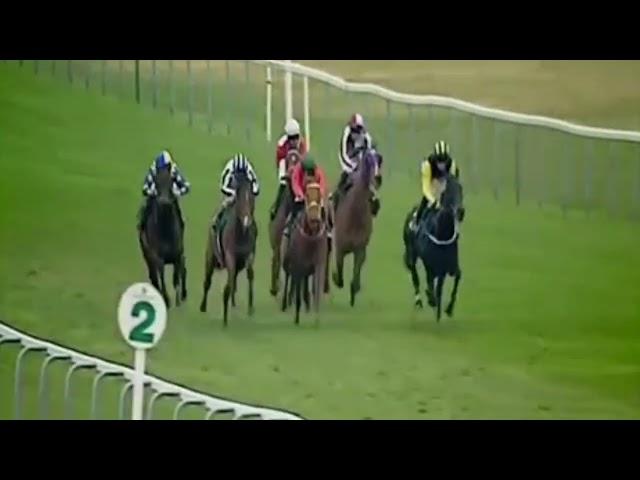 Horse Racing Death 20 - Dancing Freddy at Yarmouth Racecourse