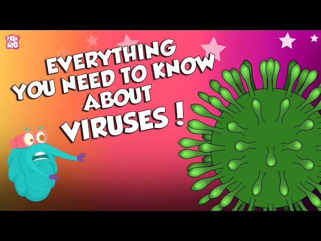 What Is A Virus? | Everything You Need To Know About Viruses | Dr Binocs Show | Peekaboo Kidz