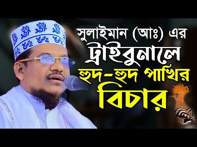 ঐতিহাসিক ঘটনা সুলাইমান (আঃ) এর ট্রাইবুনলে হুদহুদ পাখির বিচার শাইখ জামাল উদ্দিন Shaik Jamal Uddin waz