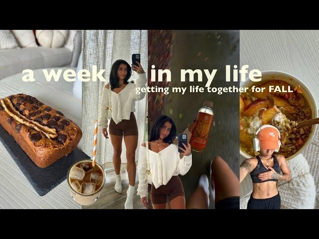 cozy fall weekly vlog| getting my life together, Sunday football, traders haul, back in my routine