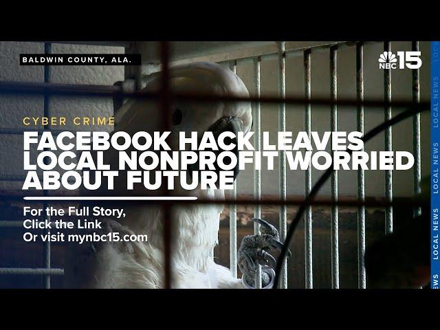 Local nonprofit locked out of social media accounts worries about its future - WPMI NBC 15