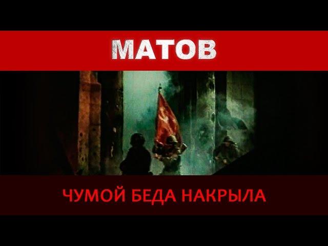 Алексей Матов - Чумой беда накрыла