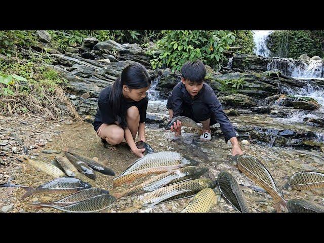 Harvest fish from the stream to sell, hoe the land to make vegetable garden - Homeless Boy