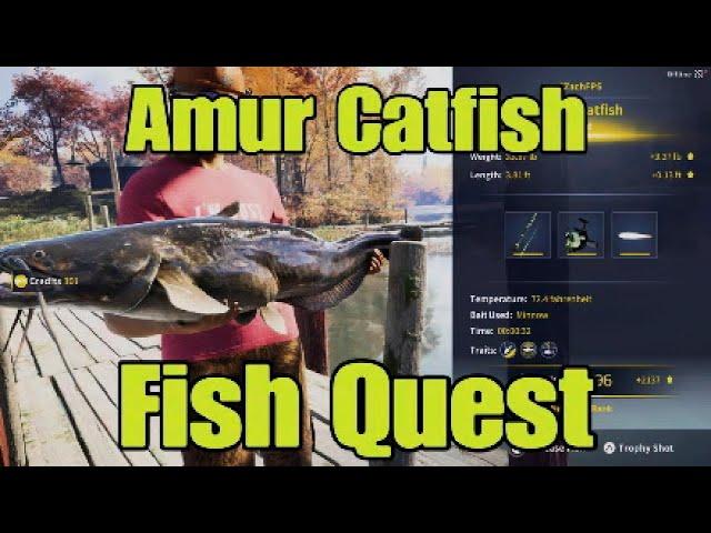 Call Of The Wild The Angler - Amur Catfish Fish Quest Easy Guide