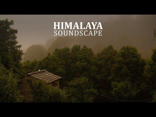 Relaxing sounds of birds from the Himalayan forest