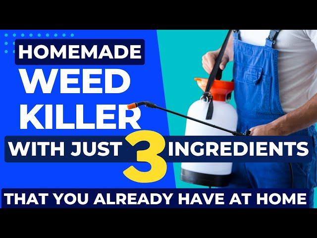 Homemade DIY Weed Killer - Just 3 Simple (and cheap) Ingredients You Already Have