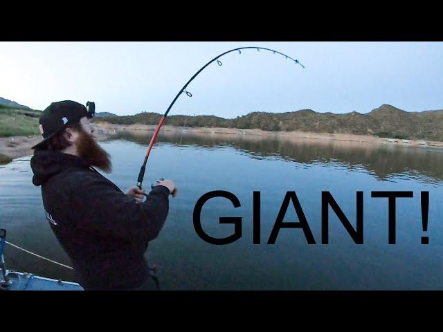 Arizona Fishing catches a GIANT! New Personal Best!