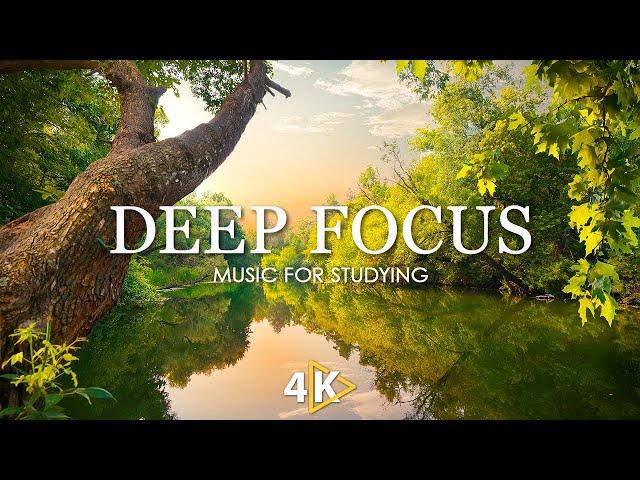 Deep Focus Music To Improve Concentration - 12 Hours of Ambient Study Music to Concentrate #803