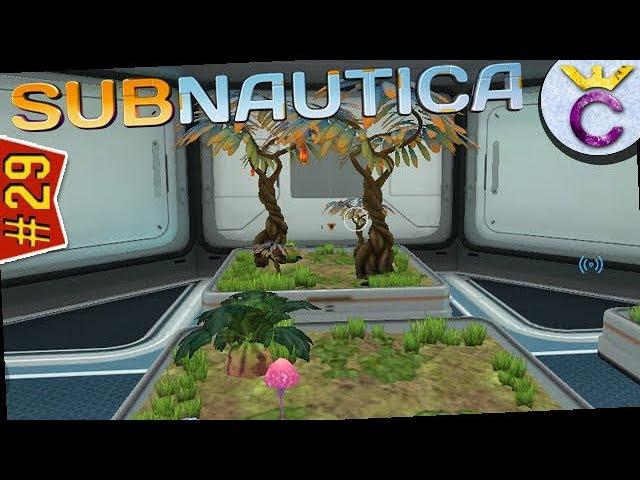 Домашние грядки и бесконечный источник еды и воды - Subnautica #29