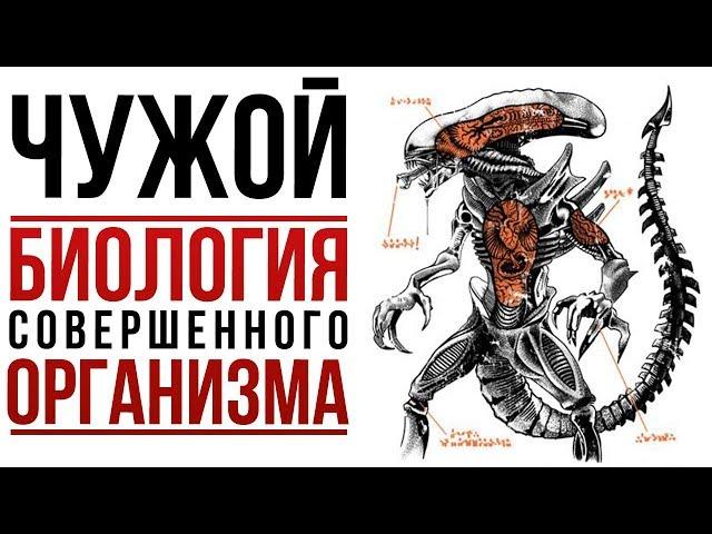 Чужой: БИОЛОГИЯ совершенного организма