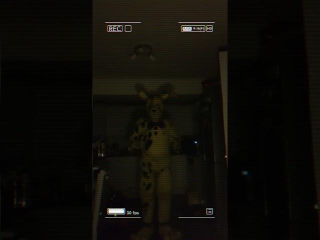 They get a bit quirky at night. #fnaf #fivenightsatfreddys #fivenightsatfreddysmovie #springtrap