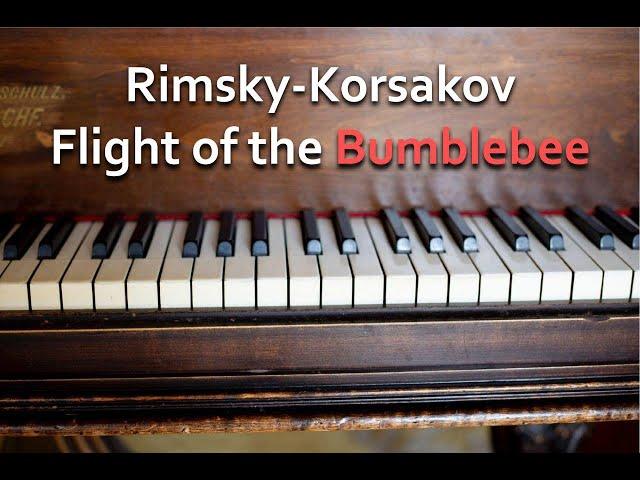 Rimsky-Korsakov- Flight of the Bumblebee - Oleg Morozov - Pianist