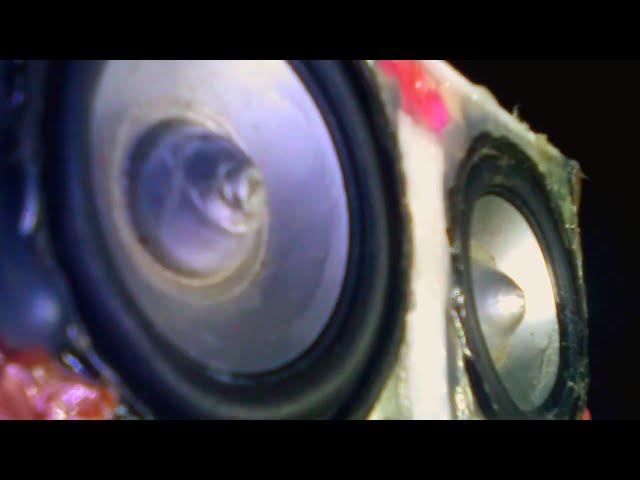 Ural Sound Test