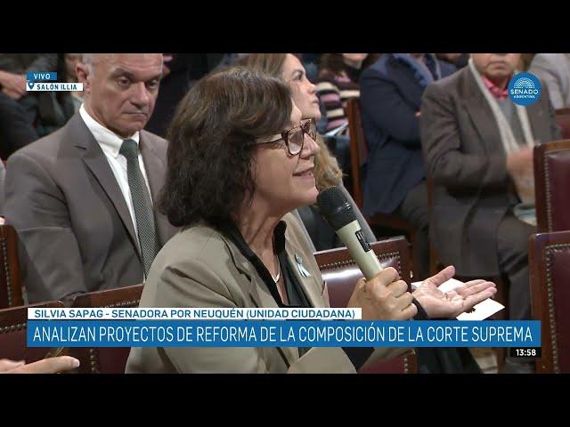 SENADORA SILVIA SAPAG - PLENARIO DE AS. CONSTITUCIONALES Y JUSTICIA