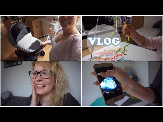 Baby's Outing?! | Kinderwagen ist da | 17. SSW | Aufregung pur | Familienvlog