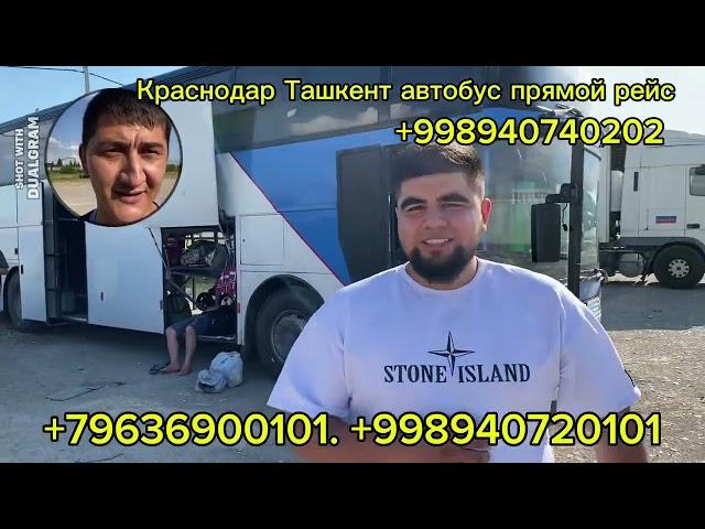 Краснодар Ташкент автобус#Краснодар Ташкент автобус прямой рейс#Краснодар Ташкент прямой рейс ￼