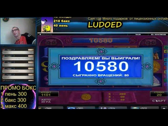 LUDO ED 8 Ретригеров АМАТИК