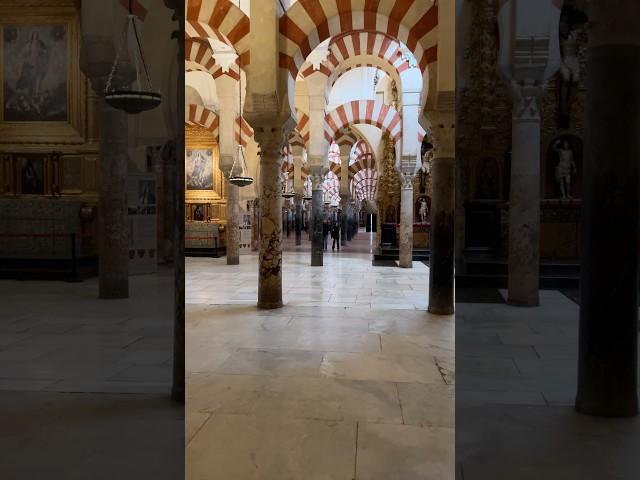 The beautiful Mosque-Cathedral #spain #travel #cordoba #shorts