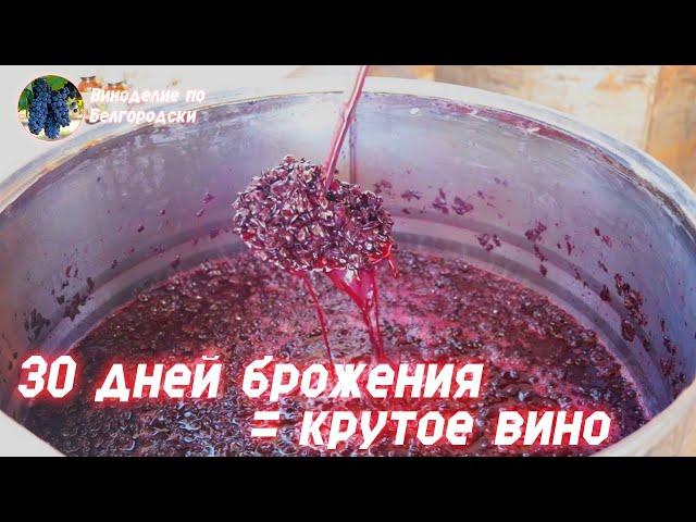 Длительное брожение = крутое вино!