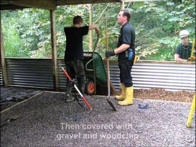 Building a large aviary for owls at the Barn Owl Trust