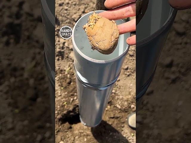 Farmers, You’ll Be Shocked What a Pipe and Shovel Can Do! #farming