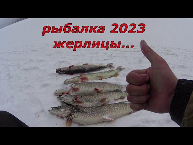 Рыбалка 2023. Оставил жерлицы без присмотра .