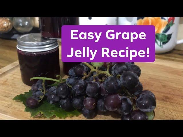 Easy Grape Jelly Recipe! 