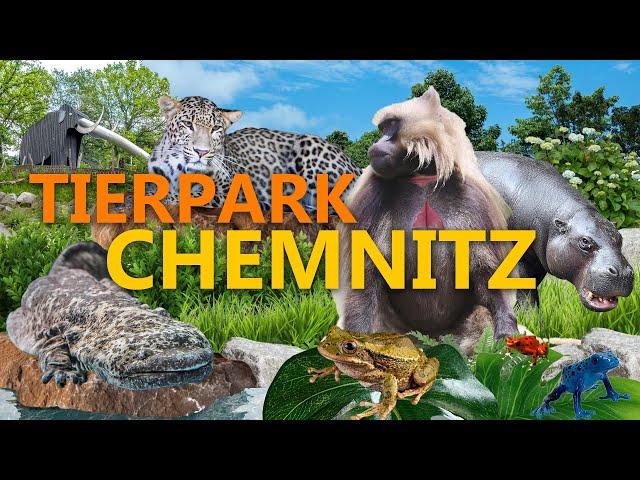 Tierpark Chemnitz - Im Osten was Neues? | Zoo-Eindruck