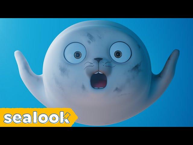 Baby Seal in Wonderland #031 | SEALOOK | EP.107