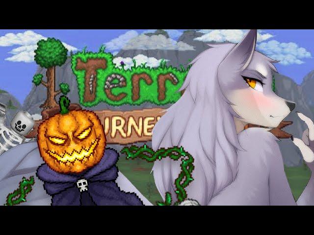 terraria pumpkin moon meme