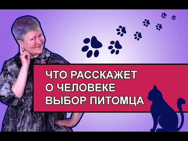 Что расскажет о человеке выбор питомца