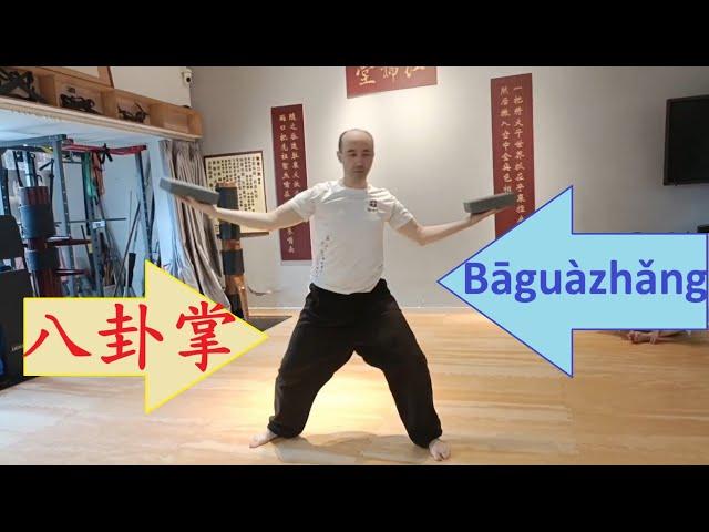 КИТАЙ 2024: видео № 111 – “БАГУАЧЖАН” – Ладонь 8-ми Триграмм  八卦掌 Baguazhang.