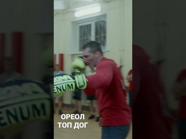 Денис Погодин. ОРЕОЛ. TopDog