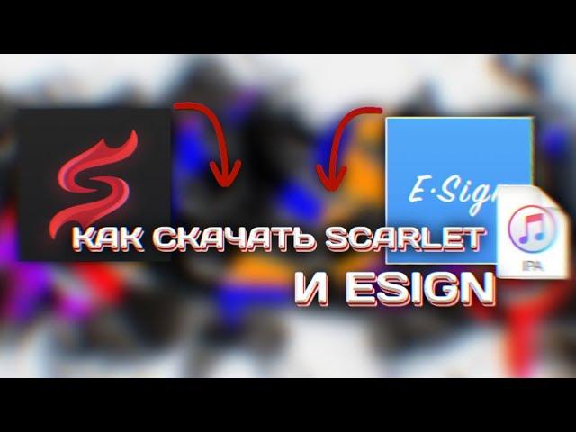 Как скачать ESign и Scarlet!