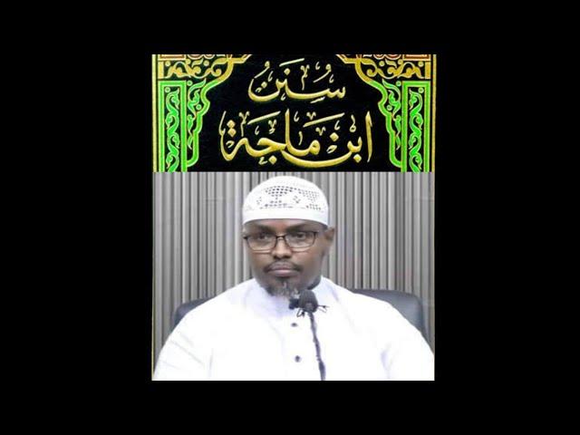 D2 - KITAABKA | SUNAN IBNU MAJAH | SH XASAAN XUSEEN