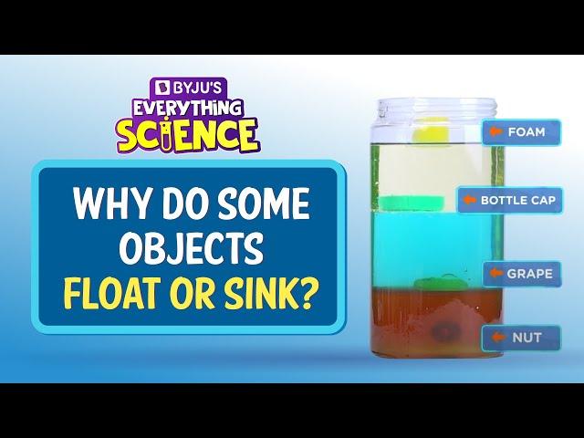 Why Do Objects Float Or Sink? | BYJU'S Everything Science #shorts