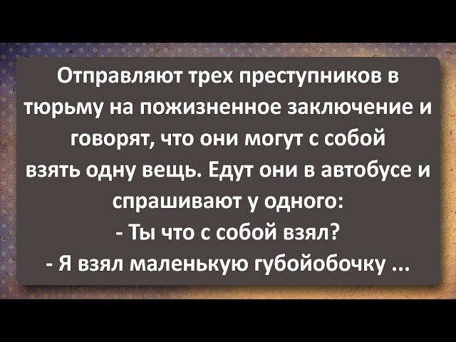 Задача трёх тел! Сборник Самых Свежих Анекдотов!