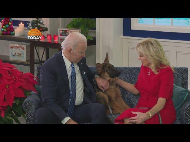 President Biden's dog Commander no longer at White House after biting incidents