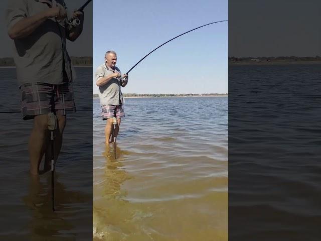 РепинСон #volga #fish #fishing #калмыкия #рыбалканаволге #РепинСон