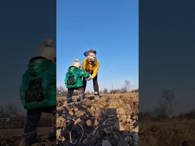 посадили лук, чернурнушку, марковку, спасибо помошникам