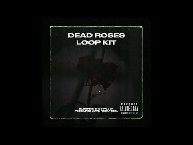 [FREE] (GUITAR) Loop Kit / Sample Pack | Rylo Rodriguez + Toosii + NBA Youngboy + NoCap