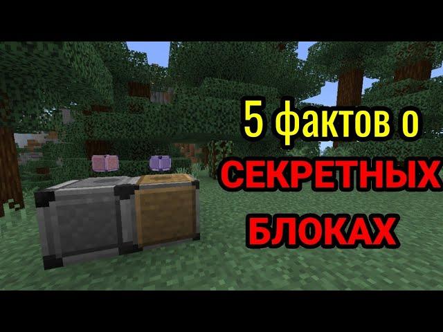 5 ФАКТОВ ОБ ДВУХ СУПЕР СЕКРЕТНЫХ БЛОКАХ В МАЙНКРАФТ PE  |  БЛОКИ РАЗРЕШИТЬ И ЗАПРЕТИТЬ!