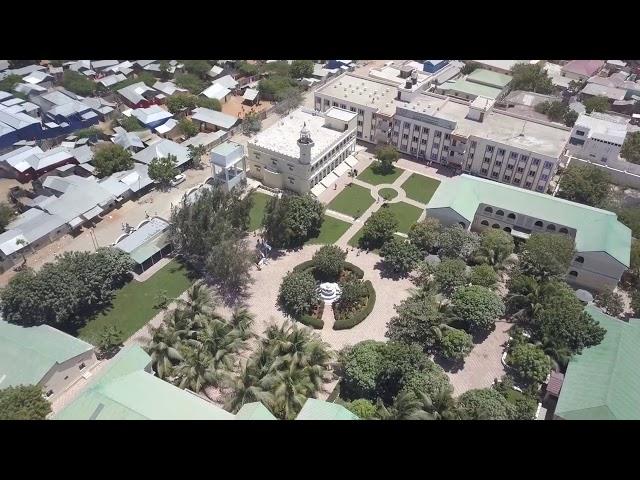 Aerial Video of SIMAD University