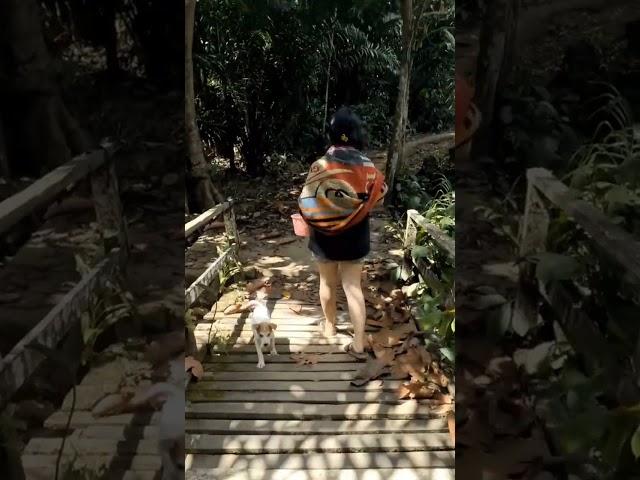 Gadis suku Dayak || aktivitas di kampung mandi di sungai pedalaman hutan Kalimantan