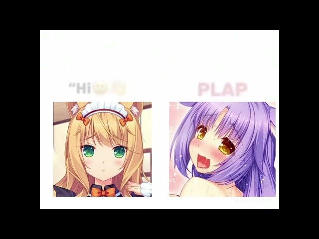 It's always about plap plap #кошачий #рай #некопара  #визуальныеновеллы #аниме #nekopara #shorts