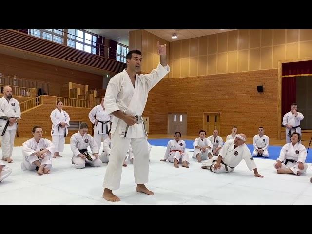 GKR Karate -Okinawa Experience 2023 - with James Pankewicz Kancho