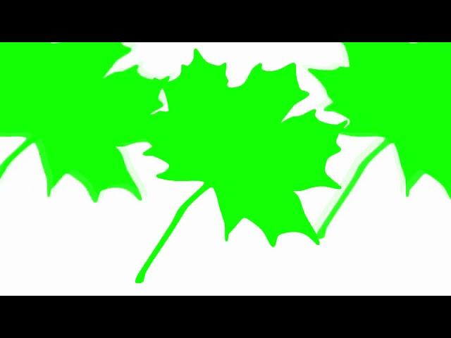 Fall Leaves Animations Green Screen Footage - Осенние листья анимации зеленый экран